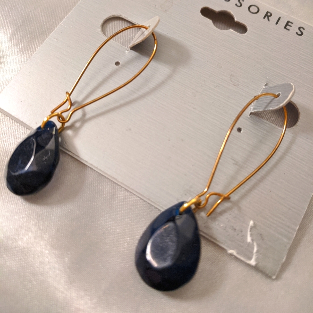 NWT! Gorgeous Dangling Earrings